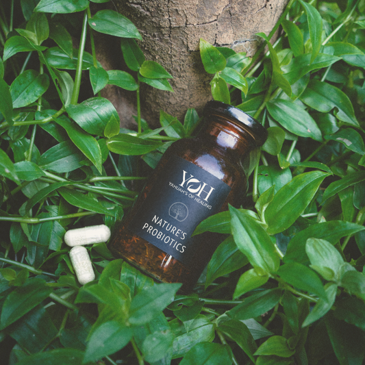 Image of a person holding a bottle of probiotic capsules, emphasizing the ease of adding probiotics to a daily routine for improved gut health.