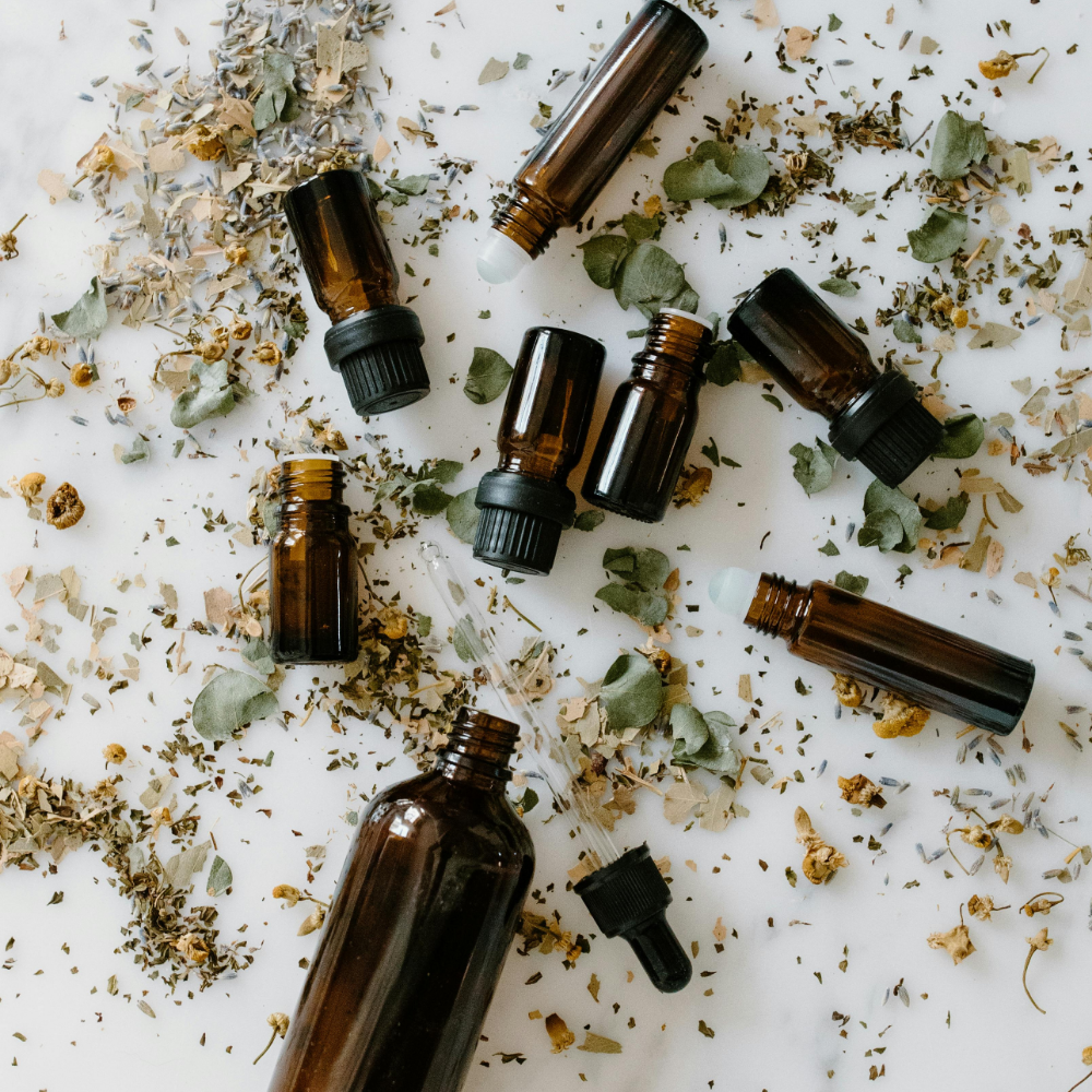 An image showcasing a variety of natural herbs and plants, with the text 'Why Have Meds: When You Can Have Herbs' displayed creatively, emphasizing the benefits of using herbal remedies over pharmaceutical medications.