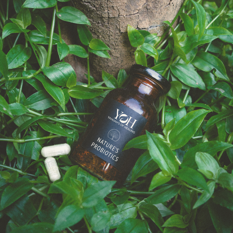 Image of a person holding a bottle of probiotic capsules, emphasizing the ease of adding probiotics to a daily routine for improved gut health.